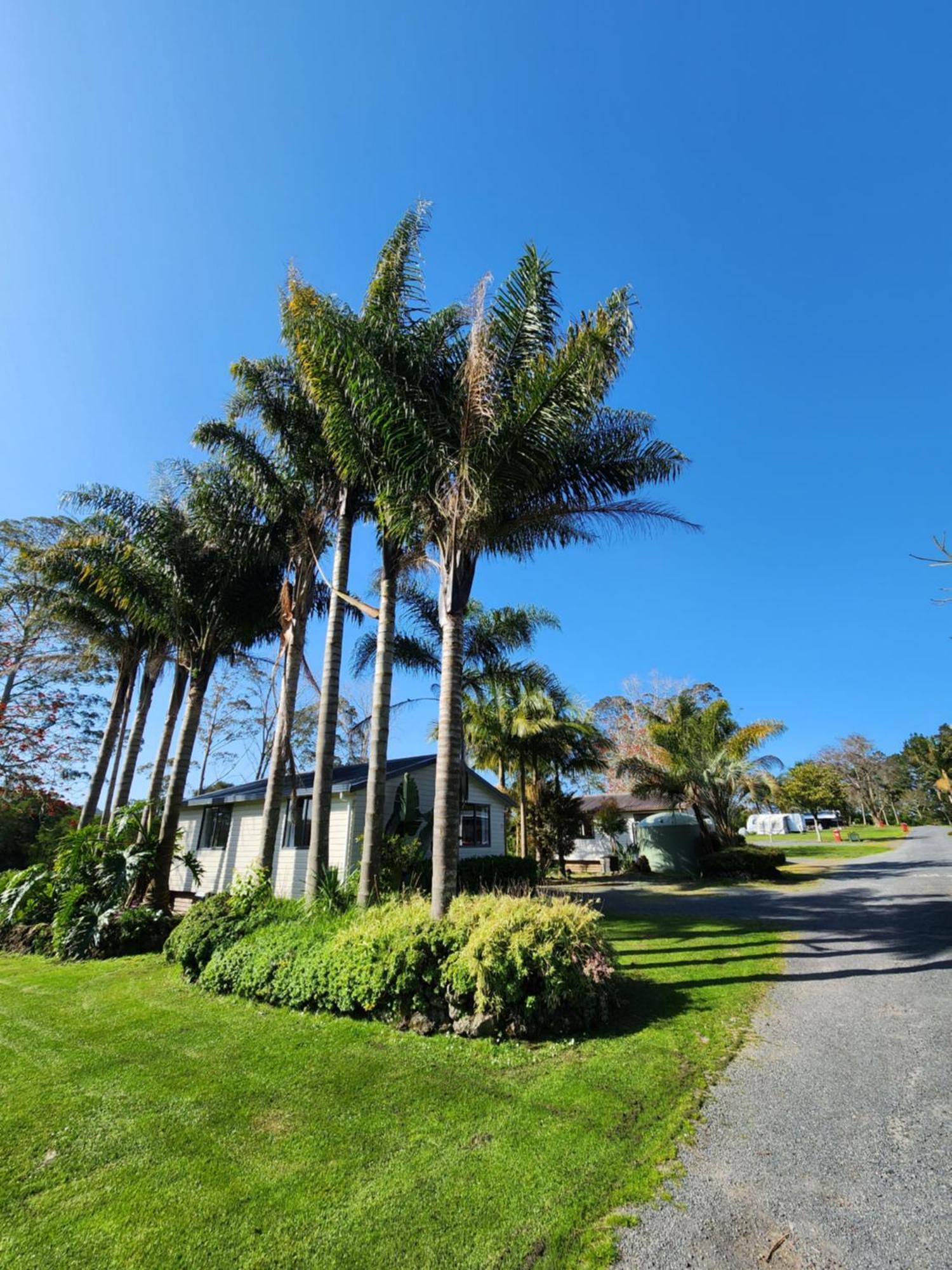 Bay Of Islands Holiday Park Paihia Esterno foto